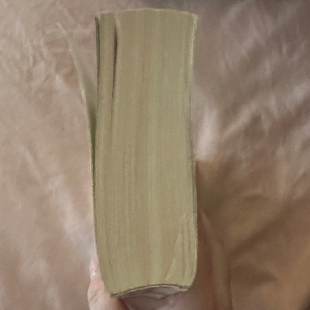 'Burned' Book - Picture 4 of 5